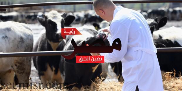 الحمى القلاعية