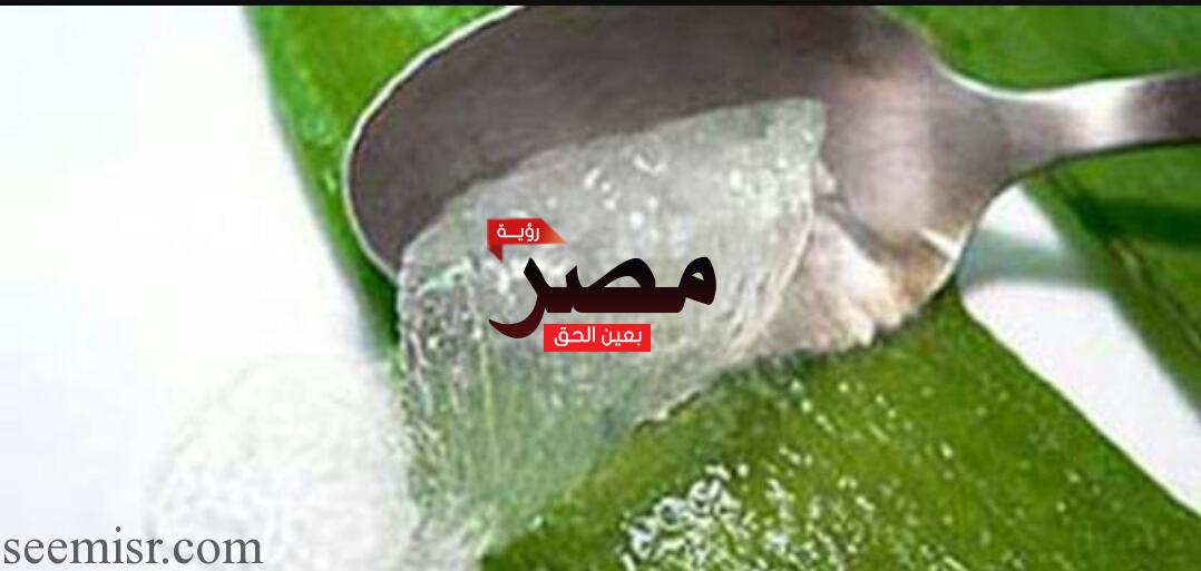نبات الصبار