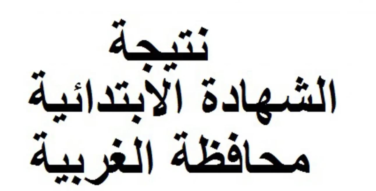 نتيجة الشهادة الابتدائية بمحافظة الغربية بالاسم ورقم الجلوس الفصل الدراسي الأول لعام 2019/ 2020