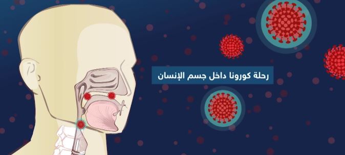 التفاصيل كاملة.. عن دورة الإصابة بفيروس كورونا