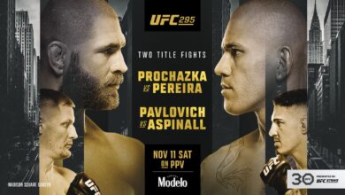 UFC 295 Live Stream