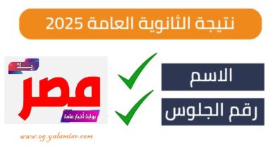 نتيجة الثانوية العامة 2025 بالاسم ورقم الجلوس
